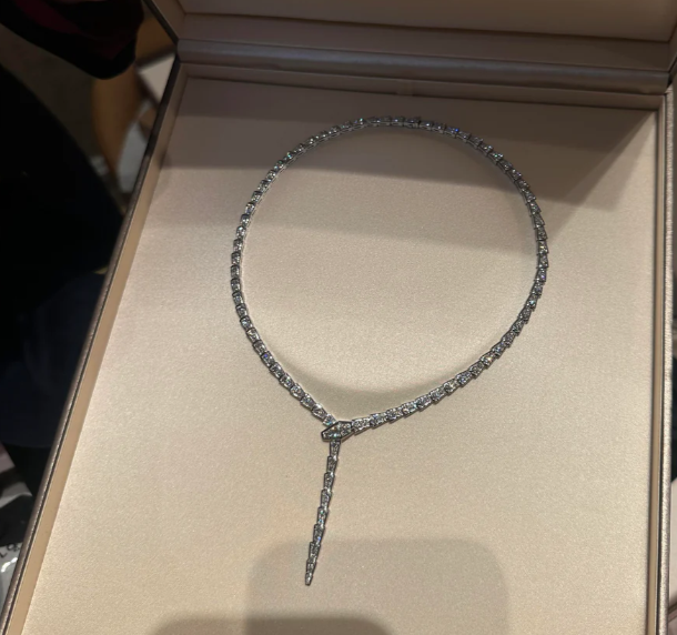 [⭐Mirelle]NEW！SERPENT DIAMOND NECKLACE