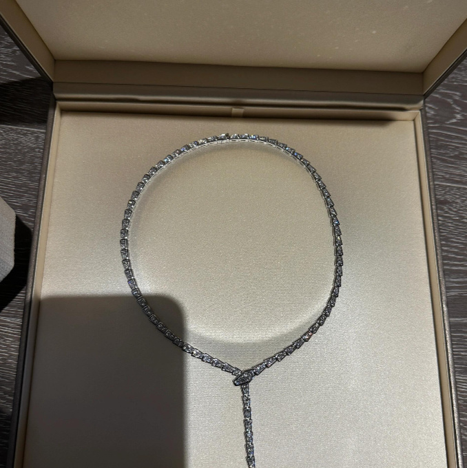 [⭐Mirelle]NEW！SERPENT DIAMOND NECKLACE