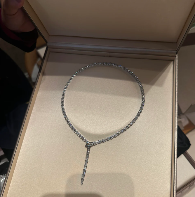 [⭐Mirelle]NEW！SERPENT DIAMOND NECKLACE