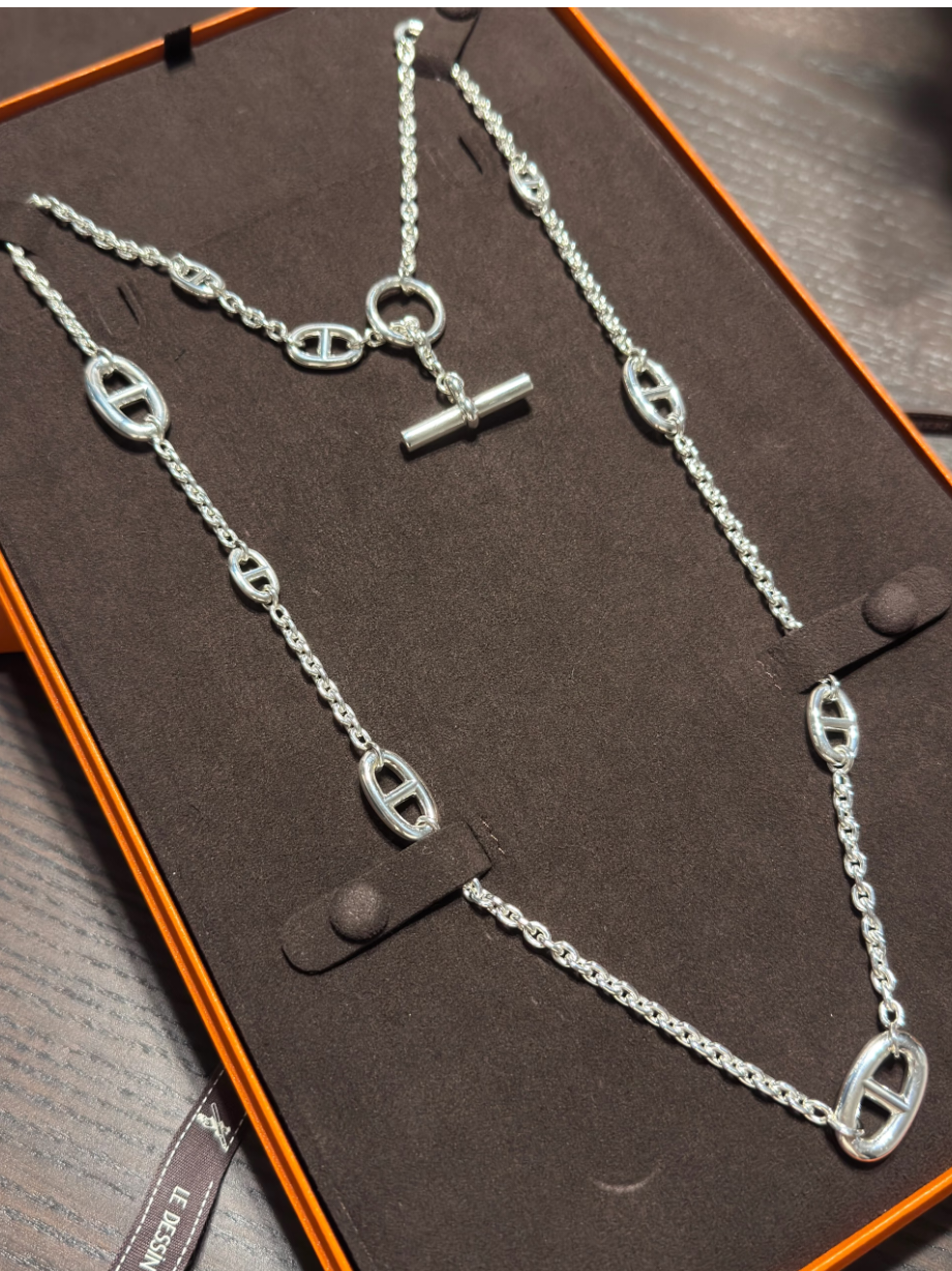 [⭐Mirelle]Classic Silver Sweater Chain