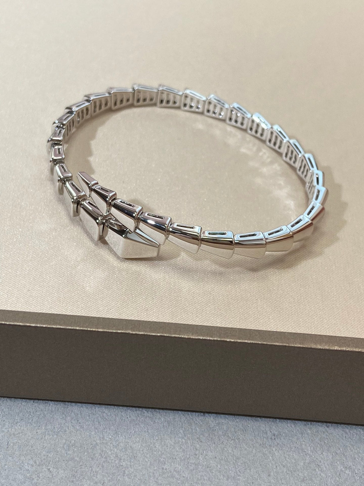[⭐Mirelle]SERPENTI VIPER SILVER BRACELET